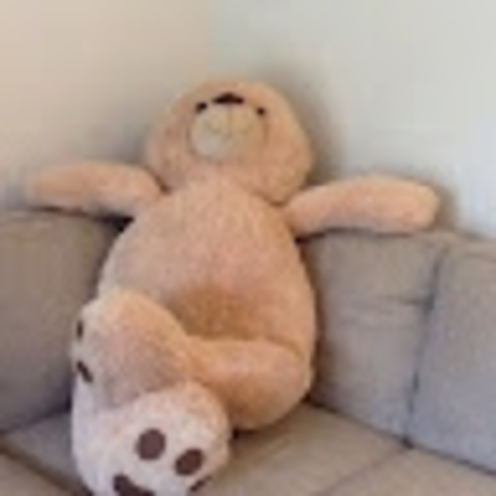 Meet your Posher, Ryan